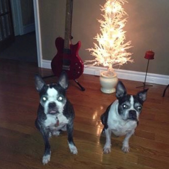 Meet your Posher, Leisa - Picture 3 of 4